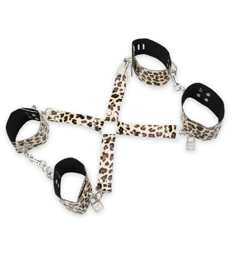 BDSM-Set, 11 Teile
