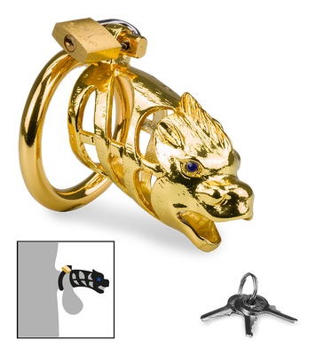 Goldfarbener Peniskäfig chinesisches Sternzeichen Drache