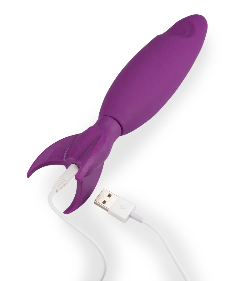 Pulsator Eclipse