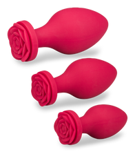 Laden Sie das Bild in den Galerie-Viewer, Set aus 3 Analplugs aus Silikon Forever